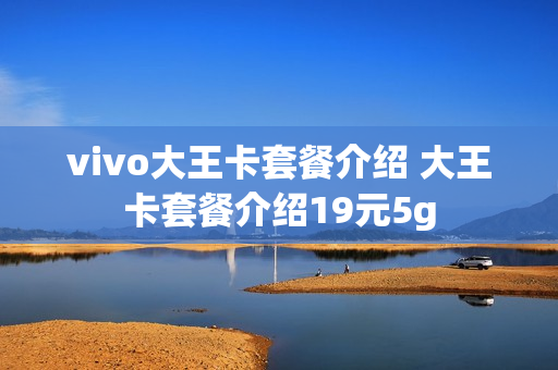 vivo大王卡套餐介绍 大王卡套餐介绍19元5g