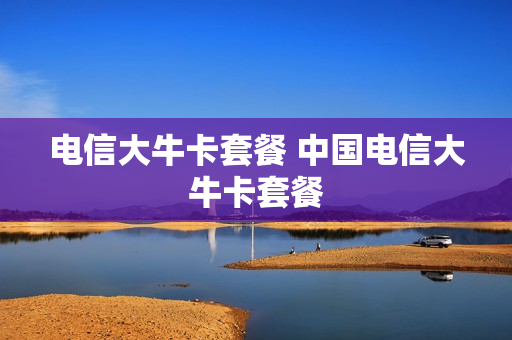 电信大牛卡套餐 中国电信大牛卡套餐