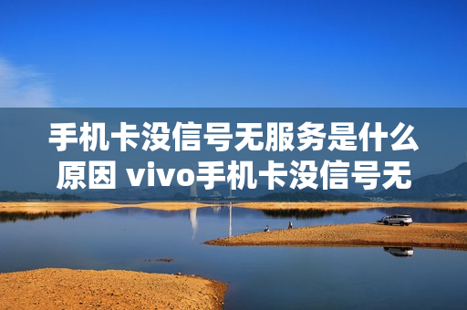 手机卡没信号无服务是什么原因 vivo手机卡没信号无服务是什么原因
