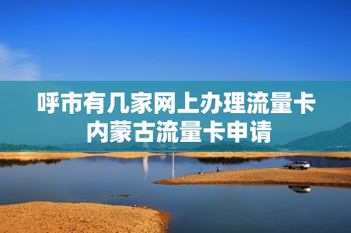 呼市有几家网上办理流量卡 内蒙古流量卡申请