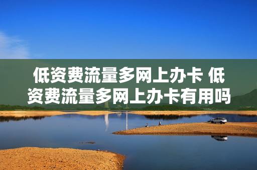 低资费流量多网上办卡 低资费流量多网上办卡有用吗