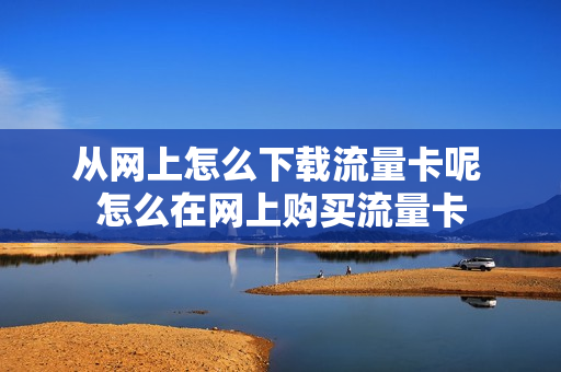 从网上怎么下载流量卡呢 怎么在网上购买流量卡