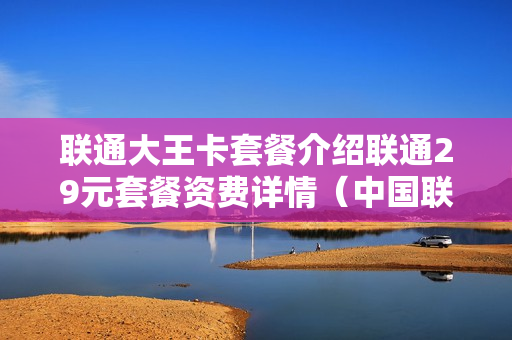 联通大王卡套餐介绍联通29元套餐资费详情（中国联通大王卡29元套餐详情）