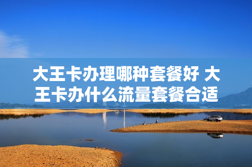 大王卡办理哪种套餐好 大王卡办什么流量套餐合适