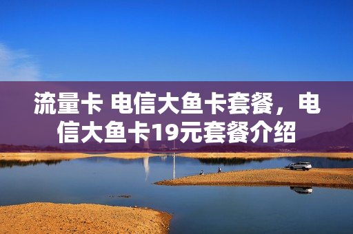 流量卡 电信大鱼卡套餐，电信大鱼卡19元套餐介绍