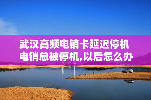 武汉高频电销卡延迟停机 电销总被停机,以后怎么办