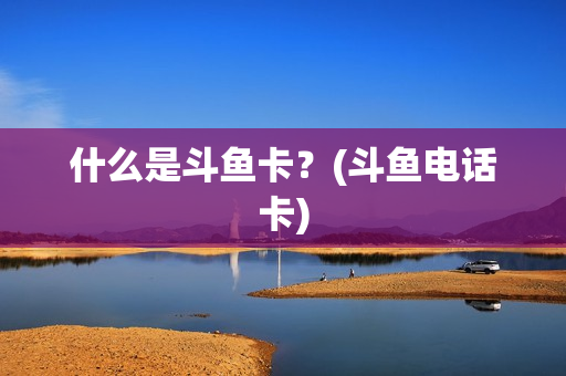 什么是斗鱼卡？(斗鱼电话卡)