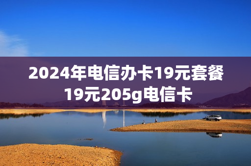 2024年电信办卡19元套餐 19元205g电信卡