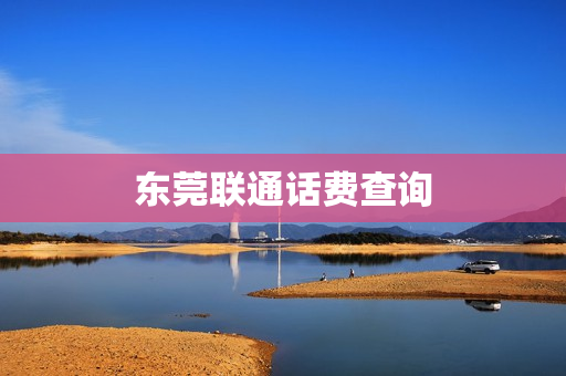 东莞联通话费查询