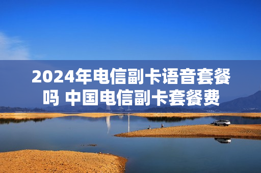 2024年电信副卡语音套餐吗 中国电信副卡套餐费