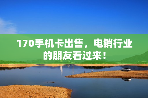 170手机卡出售，电销行业的朋友看过来！