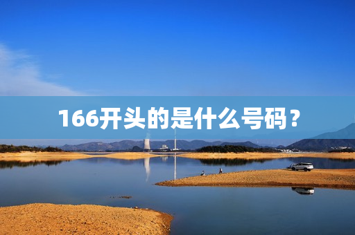 166开头的是什么号码？