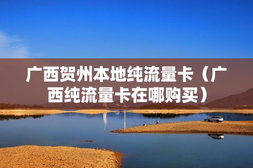 广西贺州本地纯流量卡（广西纯流量卡在哪购买）