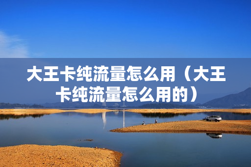 大王卡纯流量怎么用（大王卡纯流量怎么用的）