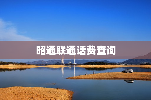 昭通联通话费查询