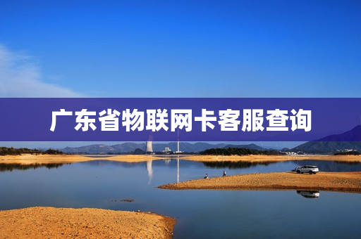 广东省物联网卡客服查询