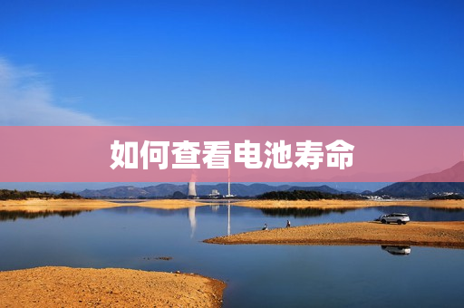 如何查看电池寿命