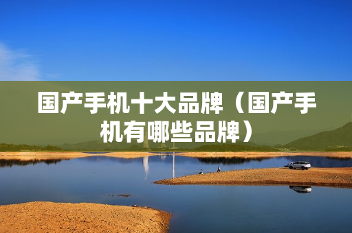 国产手机十大品牌（国产手机有哪些品牌）