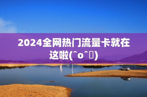 2024全网热门流量卡就在这啦(ˆoˆԅ)