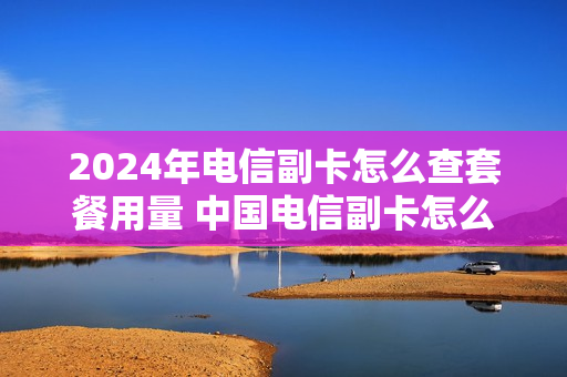 2024年电信副卡怎么查套餐用量 中国电信副卡怎么查询流量