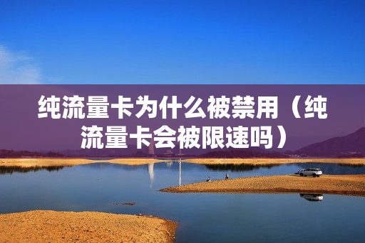 纯流量卡为什么被禁用（纯流量卡会被限速吗）