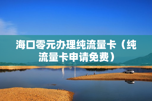 海口零元办理纯流量卡（纯流量卡申请免费）