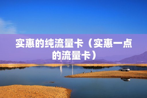 实惠的纯流量卡（实惠一点的流量卡）