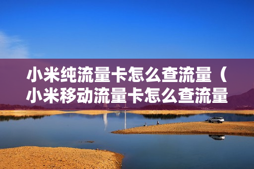 小米纯流量卡怎么查流量（小米移动流量卡怎么查流量）