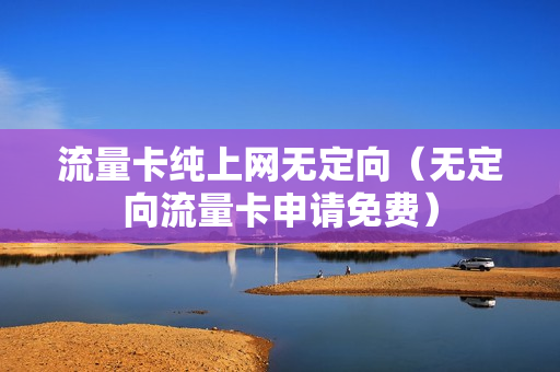 流量卡纯上网无定向（无定向流量卡申请免费）