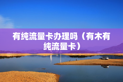 有纯流量卡办理吗（有木有纯流量卡）