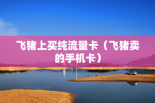 飞猪上买纯流量卡（飞猪卖的手机卡）