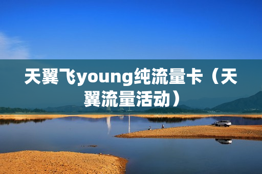 天翼飞young纯流量卡（天翼流量活动）