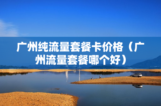 广州纯流量套餐卡价格（广州流量套餐哪个好）