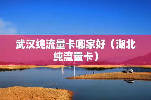 武汉纯流量卡哪家好（湖北纯流量卡）