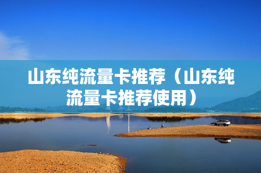 山东纯流量卡推荐（山东纯流量卡推荐使用）