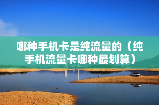 哪种手机卡是纯流量的（纯手机流量卡哪种最划算）