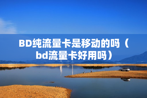 BD纯流量卡是移动的吗（bd流量卡好用吗）