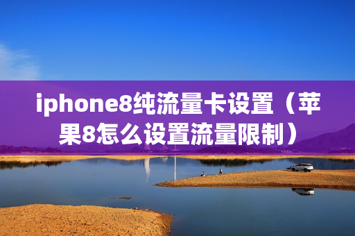 iphone8纯流量卡设置（苹果8怎么设置流量限制）