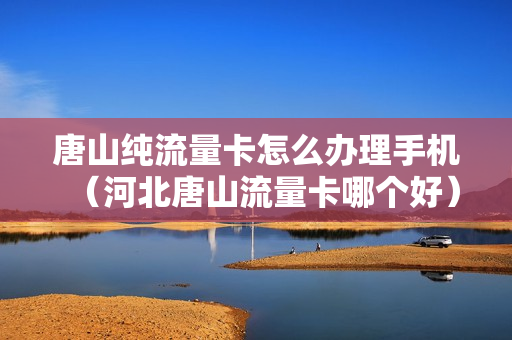 唐山纯流量卡怎么办理手机（河北唐山流量卡哪个好）