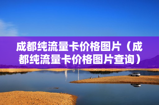 成都纯流量卡价格图片（成都纯流量卡价格图片查询）