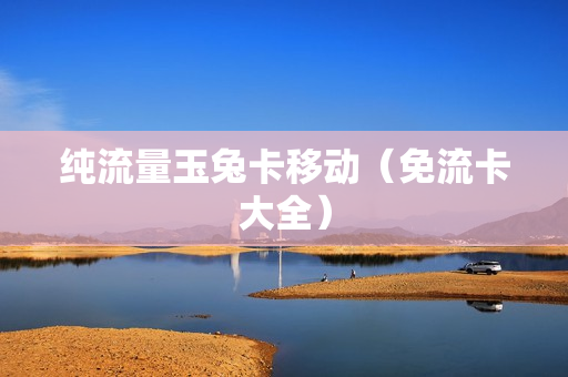 纯流量玉兔卡移动（免流卡大全）