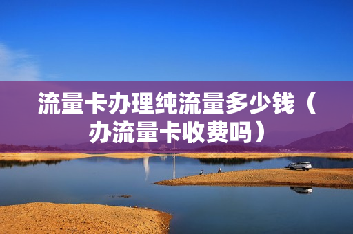 流量卡办理纯流量多少钱（办流量卡收费吗）