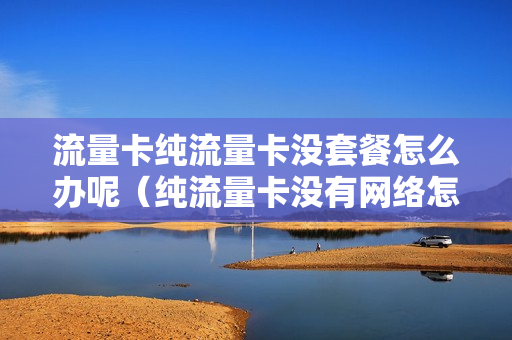 流量卡纯流量卡没套餐怎么办呢（纯流量卡没有网络怎么办）