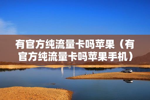 有官方纯流量卡吗苹果（有官方纯流量卡吗苹果手机）