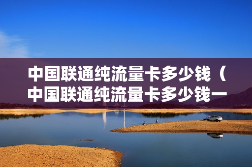 中国联通纯流量卡多少钱（中国联通纯流量卡多少钱一个）