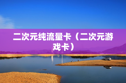 二次元纯流量卡（二次元游戏卡）