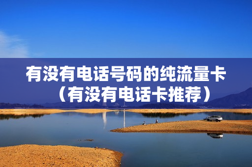 有没有电话号码的纯流量卡（有没有电话卡推荐）