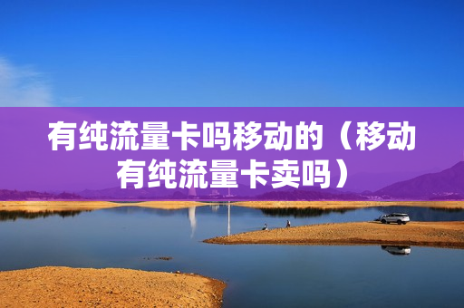 有纯流量卡吗移动的（移动有纯流量卡卖吗）