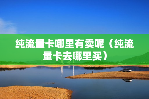 纯流量卡哪里有卖呢（纯流量卡去哪里买）