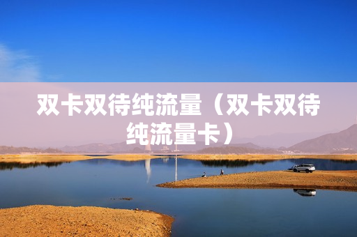 双卡双待纯流量（双卡双待纯流量卡）